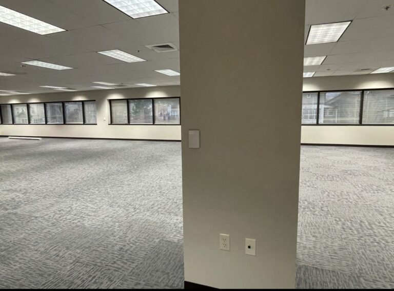 WhatsApp Image 2025-08-03 at 12.58.40